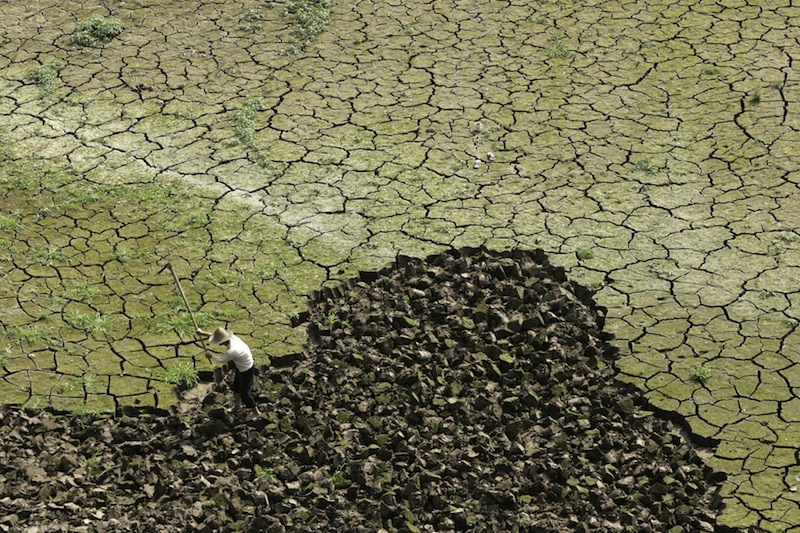 A farmer works on a drought-hit paddy field on the outskirts of Chongqing municipality in this March 24, 2009 file photo. u00e2u20acu201d Reuters pic