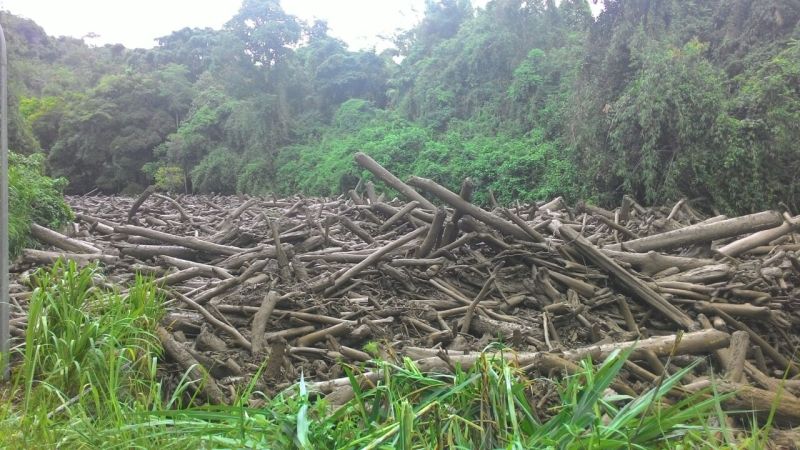 The villagers’ source of water from nearby Sungai Liwagu has been clogged with tonnes of debris ― mostly tree branches from the mudslides ― and this has effectively halted water flow. ― Pictures by Julia Chan