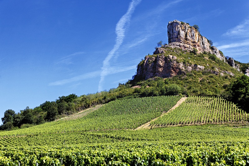 The vineyards and climates of Burgundy are now on Unescou00e2u20acu2122s World Heritage List. u00e2u20acu201d AFP pic