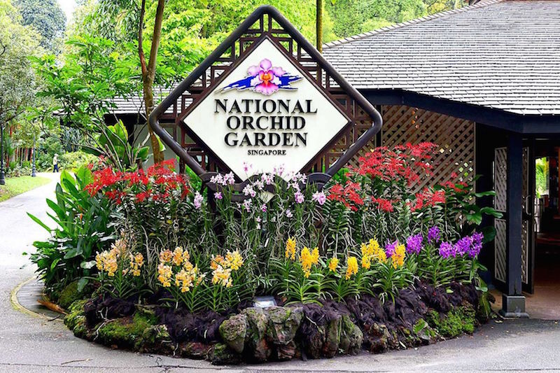 Chang Kuda is the name of a popular game children played in the 1950s and 1960s. This sculpture is by 2014 Cultural Medallion recipient Chong Fah Cheong. — TODAY pic