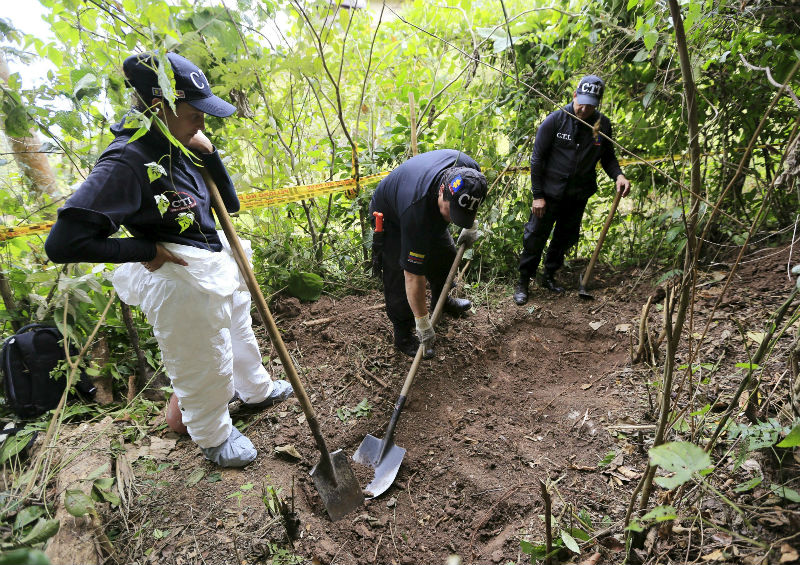 Members of the Attorney-General's forensic team dig for a supposed grave after handcuffed ex-rebels pointed out the location in a rural area close to Chaguani, Colombia, June 18, 2015. u00e2u20acu201d Reuters pic