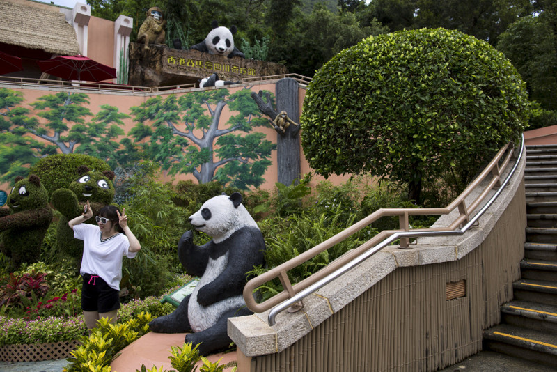 A visitor poses in front of a giant panda habitat at the Hong Kong Ocean Park, China June 25, 2015. u00e2u20acu201d Reuters pic