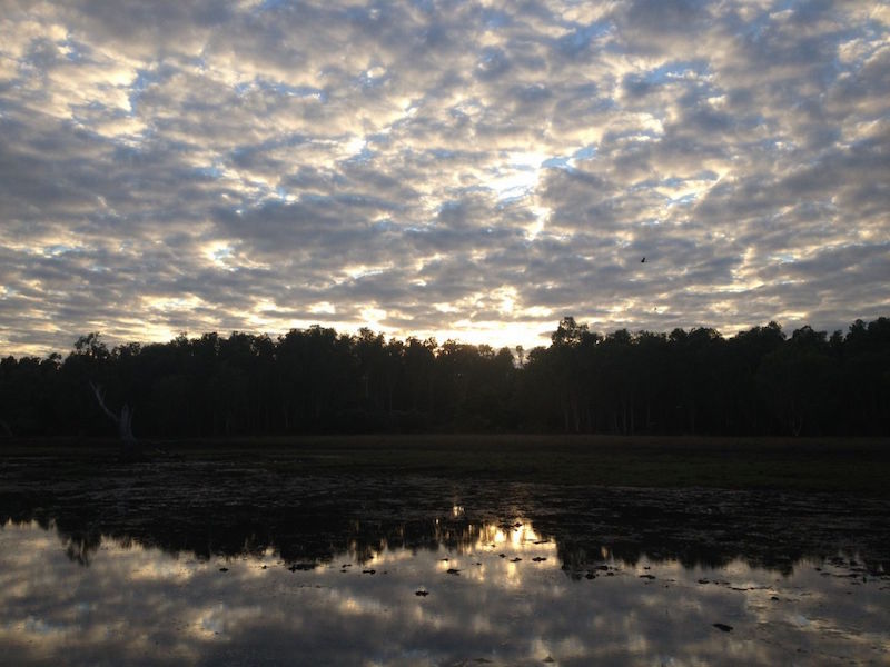 Spectacular sunrise in a billabong. — TODAY pic