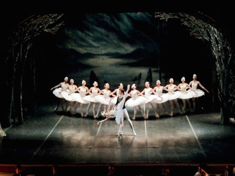 Watch the Swan Lake ballet in the Mariinsky theatre. — TODAY pic