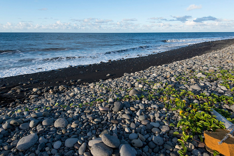 General view of the beach where a large piece of plane debris was found on Wednesday in Saint-Andre, on the French Indian Ocean island of La Reunion, July 30, 2015. u00e2u20acu201d Reuters pic