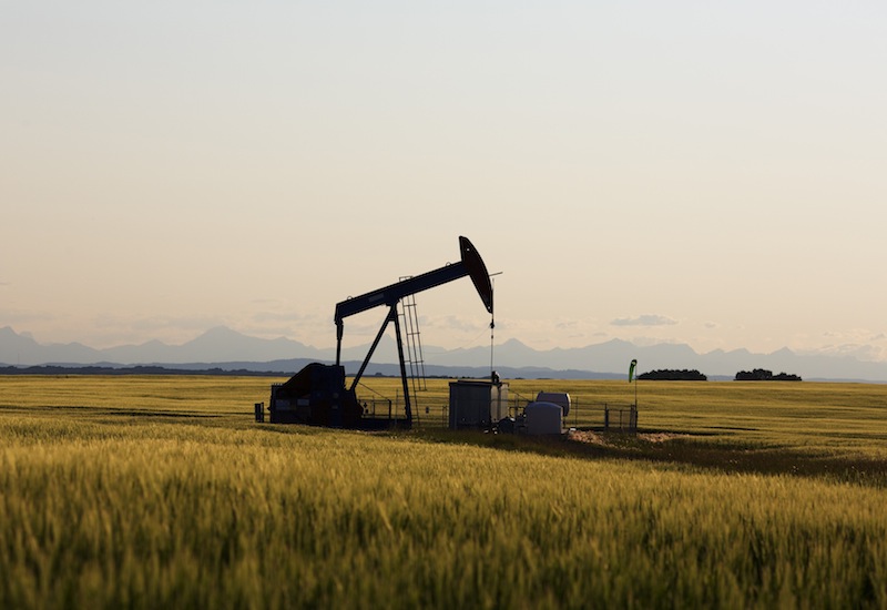 An oil pump jack pumps oil in a field near Calgary, Alberta, in this July 21, 2014 handout. u00e2u20acu201d Reuters pic