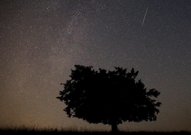 A meteor streaks across the sky during the Perseid meteor shower near Kraljevine on mountain Smetovi in the early morning August 12, 2015. u00e2u20acu201du00c2u00a0Reuters pic
