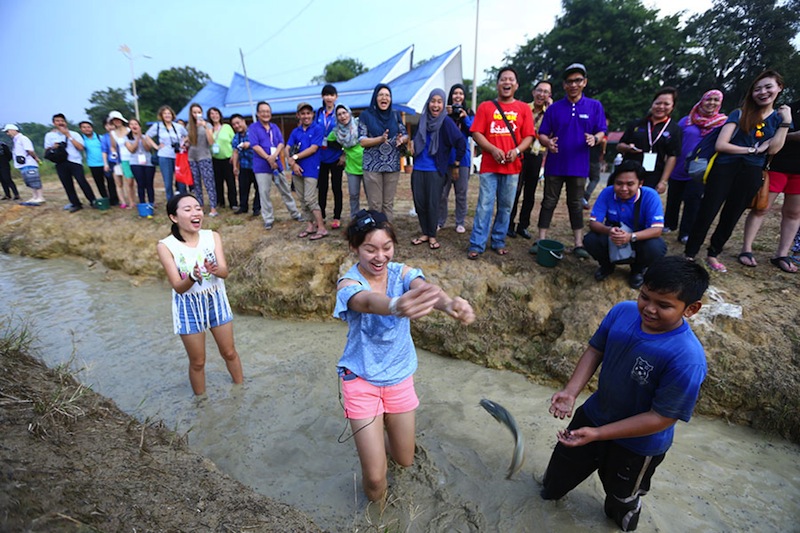 Taiwanese tourists try the 'mengoca ikan' or catching fish with bare hands in muddy water, at Kampung Lonek.  