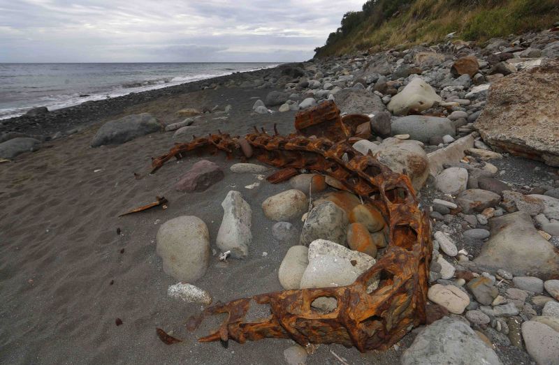 Debris that has washed onto the Jamaique beach in Saint-Denis is seen on the shoreline of French Indian Ocean island of La Reunion, August 3, 2015. u00e2u20acu2022 Reuters pic