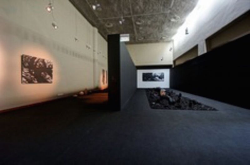 Han Sai Por’s solo exhibition Black Forest at NAFA in 2013. — Picture by NAFA via TODAY