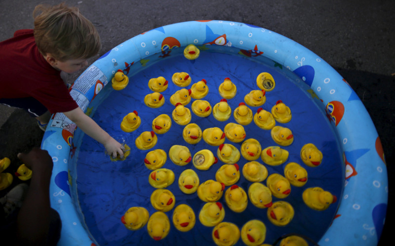 A boy picks a rubber duck from a small pool in a game of chance at the Iowa State Fair in Des Moines, Iowa, United States, August 15, 2015. u00e2u20acu201d Reuters pic