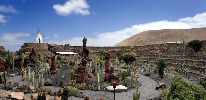 Manrique’s creation includes more than 7,200 cacti of 110 different species, originating from all around the world. — Picture by Jardin de Cactus via AFP