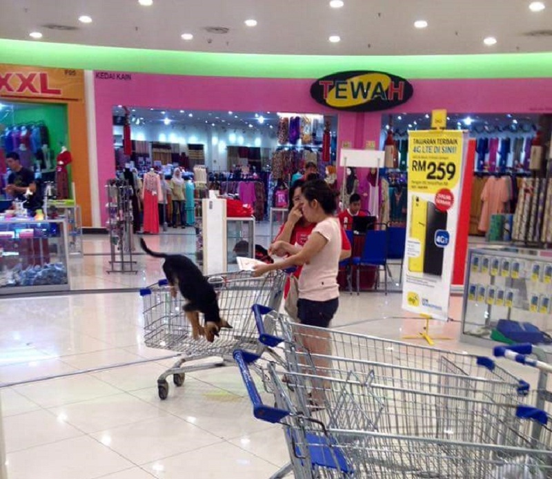 The photo of the two women and their dog was uploaded on the social media site and has since gone viral. u00e2u20acu201d Picture taken from Facebook