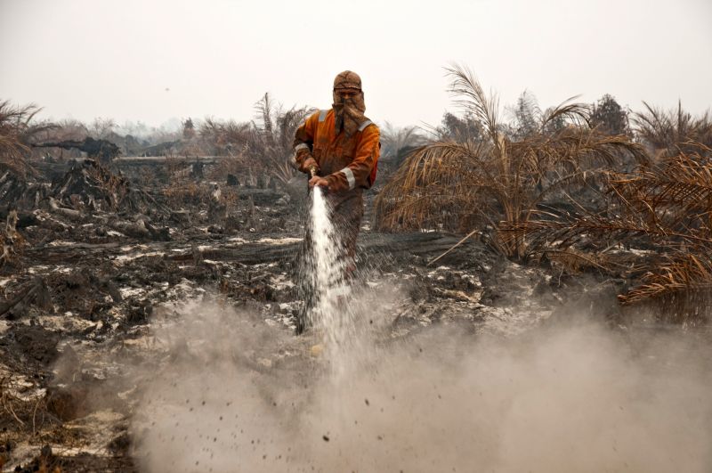 A firefighter from the local disaster management agency tries to extinguish a peatland fire in a palm oil plantation in Pelalawan, Riau province on the Indonesian island of Sumatra, September 26, 2015. u00e2u20acu201d Reuters/Antara Foto pic