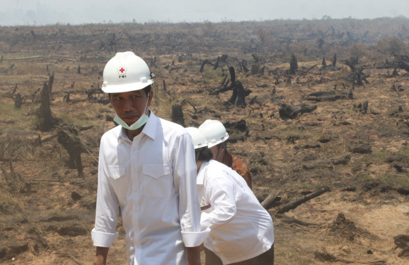 Indonesian President Joko Widodo inspects the aftermath of a recent forest fire during a visit in Banjarbaru, near Banjarmasin, south Kalimantan province, Indonesia September 23, 2015. u00e2u20acu201d Antara Foto/Reuters pic