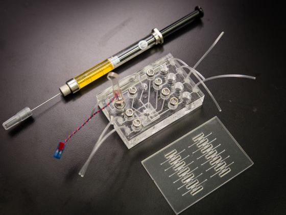 The two key lab-in-a-chip components, photographed with a biopsy syringe for scale.