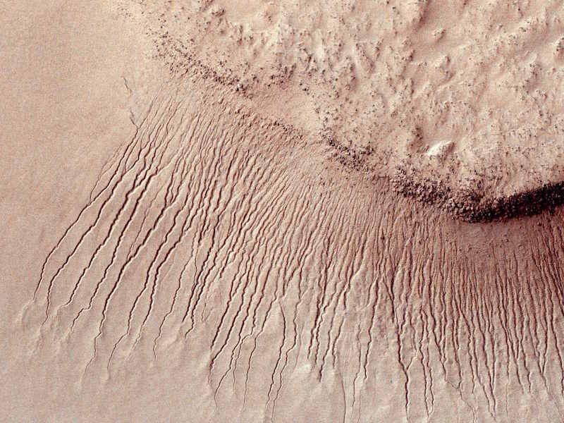 Portions of the Martian surface shot by NASA’s Mars Reconnaissance Orbiter show many channels from one metre to 10 metres wide on a scarp in the Hellas impact basin, in this photograph taken January 14, 2011 and released by NASA March 9, 2011. — Reuters pic