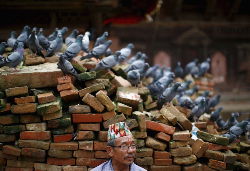 A man sits next to pigeons resting on a pile of bricks collected from the collapsed temple damaged during the earthquake at Hanumandhoka Durbar Square in Kathmandu, Nepal August 20, 2015. u00e2u20acu201d Reuters pic