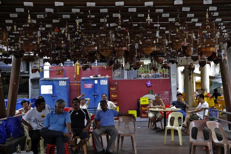 Pet Walk at Serangoon North Ave 2. u00e2u20acu201d TODAY pic