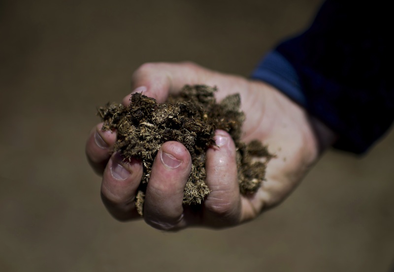 A man holds dried cow dung at a farm which has its own biogas plant in the town of Tinguiririca, about 150 km south of Santiago, Chile, on November 4,2014. u00e2u20acu201d AFP pic