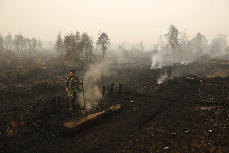 An Indonesian soldier checks on a peat land fire near Palangkaraya, Central Kalimantan, Indonesia October 28, 2015.