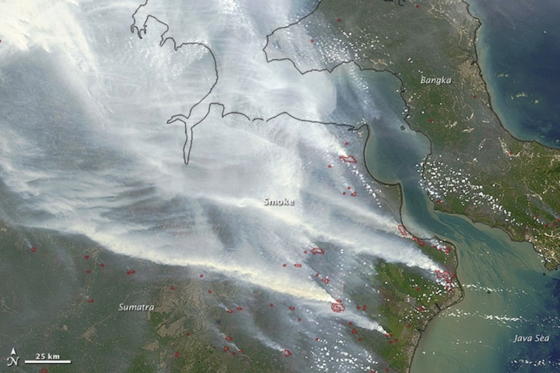 NASA satellite image seen in this September 24, 2015 image from the Moderate Resolution Imaging Spectroradiometer (MODIS) on NASA's Terra satellite shows smoke from fires in Indonesia over the coasts of Borneo and Sumatra.u00c2u00a0u00e2u20acu201du00c2u00a0Reuters pic
