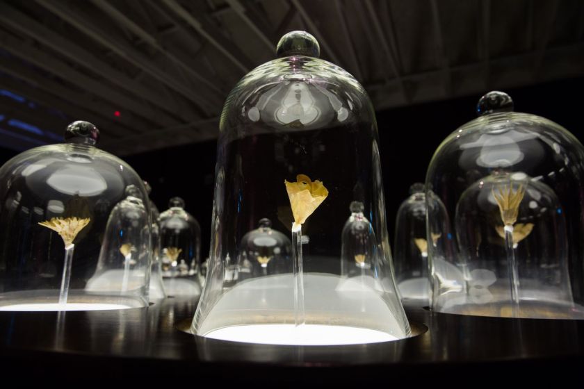 President's Young Talents 2015 joint winner Ezzam Rahman's ‘Here's who I am, I am what you see’ installation. — TODAY pic