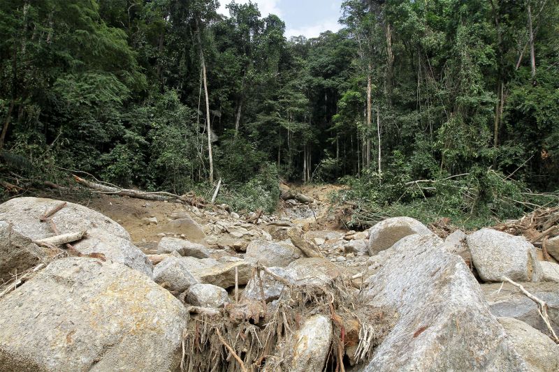 The landslide area along the KL-Karak Highway. u00e2u20acu2022 Picture by Yusof Mat Isa
