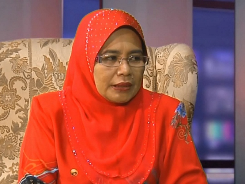 Datuk Hamidah Osman menjelaskan pemecatan beliau tidak menjadi halangan untuk mendukung perjuangan partiu00e2u20acu201dFoto paparan skrin YouTube