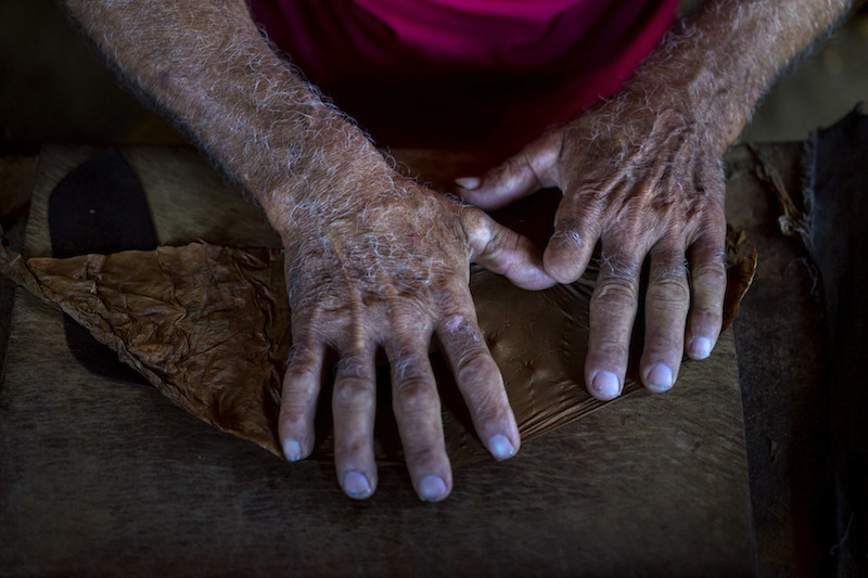 A master cigar roller demonstrates for visitors at the Vegas Robaina tobacco plantation, west of Havana in San Luis, Cuba, May 29, 2015. u00e2u20acu201d NYT pic