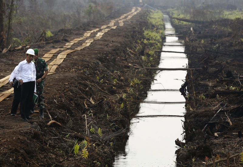 Indonesian President Joko Widodo inspects a newly-built canal to prevent peatland fires in Pulang Pisau, east of Palangkaraya, Central Kalimantan October 31, 2015. u00e2u20acu201d Reuters pic