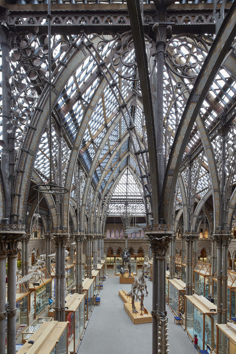 Inside the Oxford University Museum of Natural History, which contains the remains of a dodo bird, an animal that plays a role in ‘Alice’s Adventures in Wonderland and Through the Looking-Glass’ by Lewis Carroll.