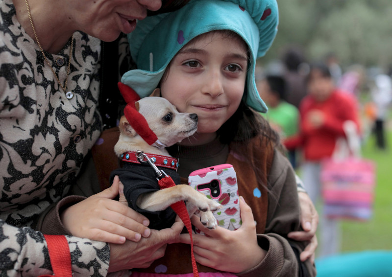A child holds a dog dressed in costume during the Pet's Halloween Day parade at El Olivar Park in San Isidro, Lima, October 31, 2015. u00e2u20acu201d Reuters pic