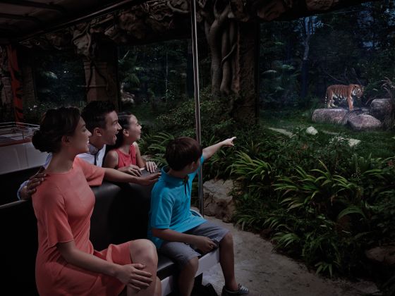 The Tram Safari Experience is a 40-minute tram ride that takes you to the habitats of the Malayan tiger as well as other fascinating nocturnal animals.