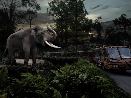 The creatures of the Night Safari, many of them critically endangered in the wild, are popular with visitors.