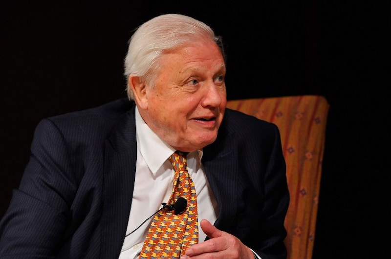 Sir David Attenborough attends the US premiere screening of u00e2u20acu02dcDavid Attenboroughu00e2u20acu2122s Rise Of Animals: Triumph Of The Vertebratesu00e2u20acu2122 in Washington, DC May 7, 2015. u00e2u20acu201d AFP pic