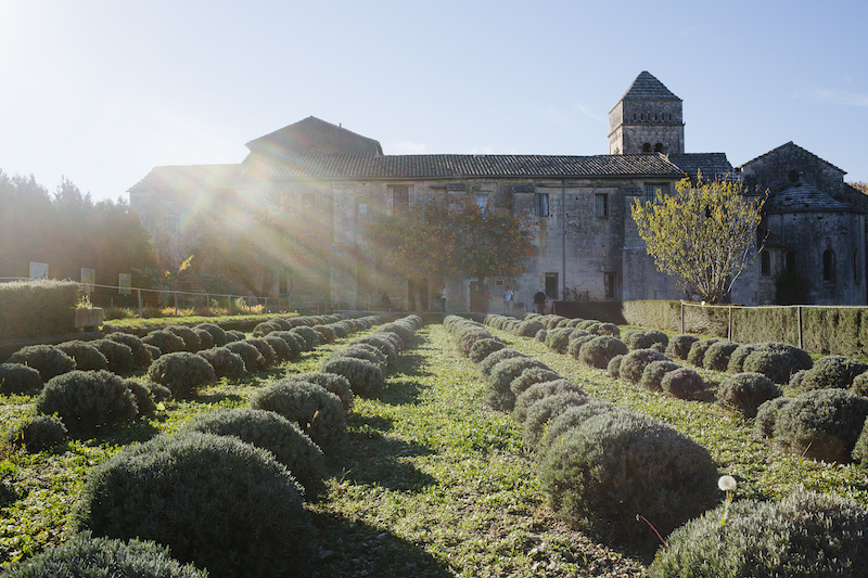 The garden at the hospital at St Paul de Mausole, where Vincent van Gogh received treatment, in Saint-Remy-de-Provence, France, November 6, 2015. — Picture by Alex Cretey-Systermans/The New York Times