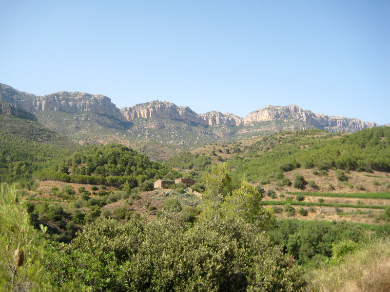 The landscape is dramatic and viticulture is tough in the Priorat region. u00e2u20acu201d Rosemary George/Reuters pic