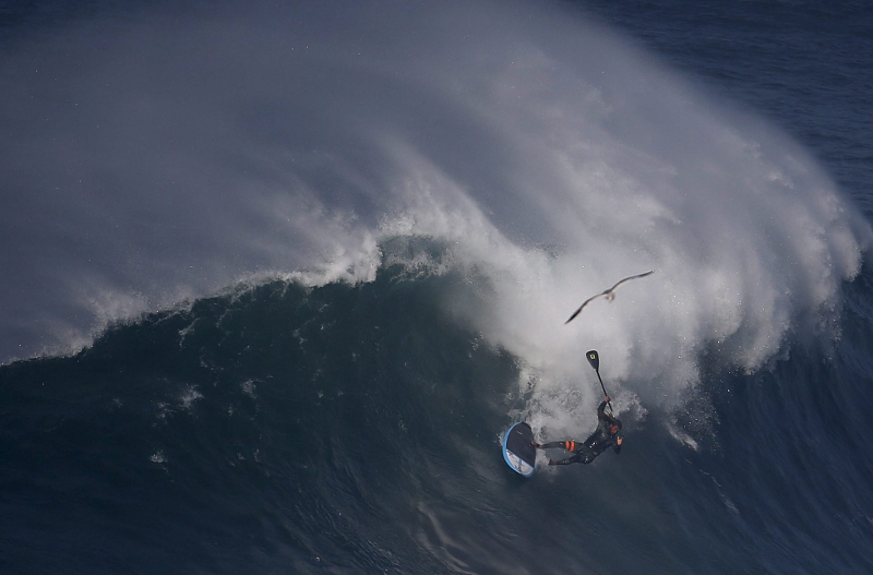 Big-wave surfer Kealii Mamala of Hawaii wipes out on a large wave at Praia do Norte, Portugal, November 13, 2015. u00e2u20acu201d Reuters pic