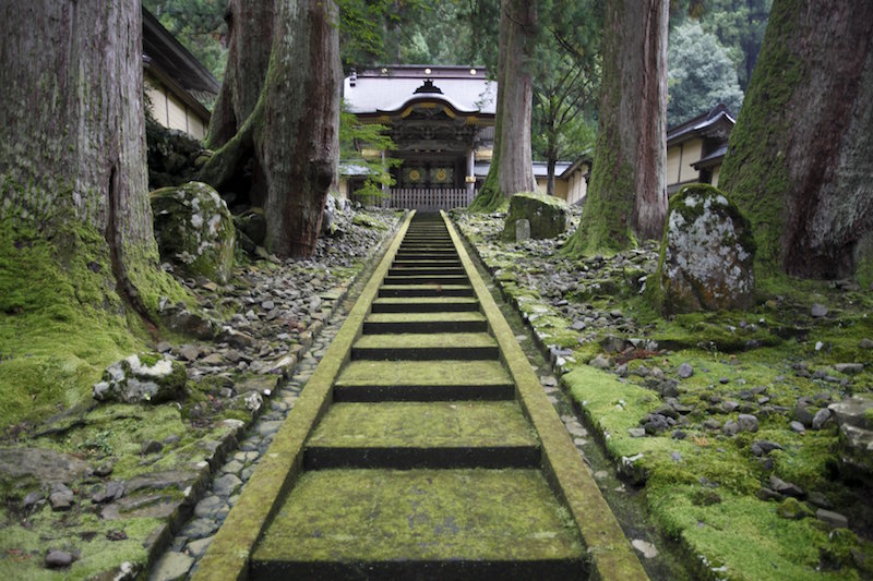 Karamon gate, or the main gate is pictured at the Eiheiji temple in Eiheiji town, Fukui prefecture, October 14, 2015. u00e2u20acu201d Reuters pic