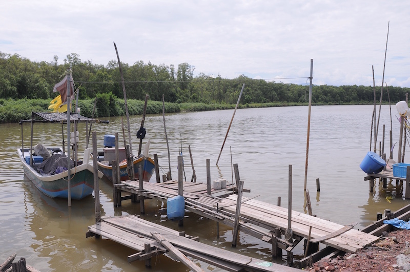 Penaga is an eco-tourism site that attracts migratory birds between October and April. u00e2u20acu201d Picture by KE Ooi