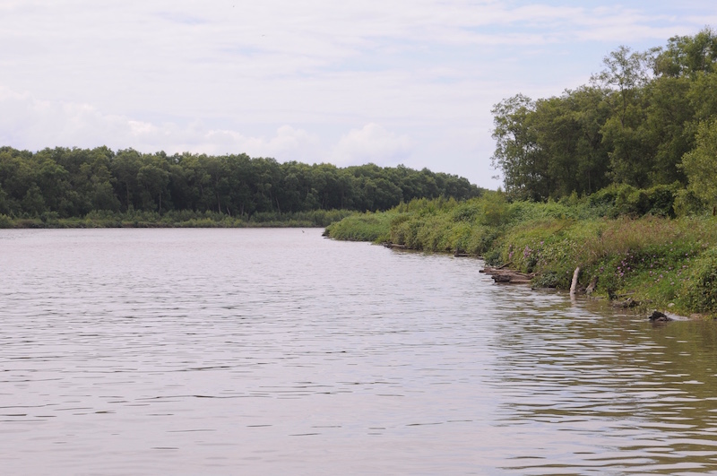 The migratory birds have the potential to attract birdwatchers from all over the world, Lim Guan Eng said today. — Picture by KE Ooi