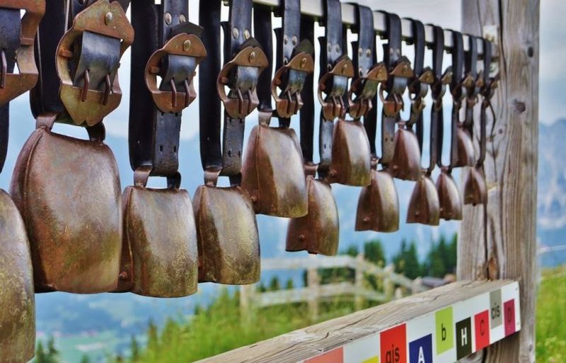 Portuguese cowbells are now safeguarded. u00e2u20acu2022 AFP pic