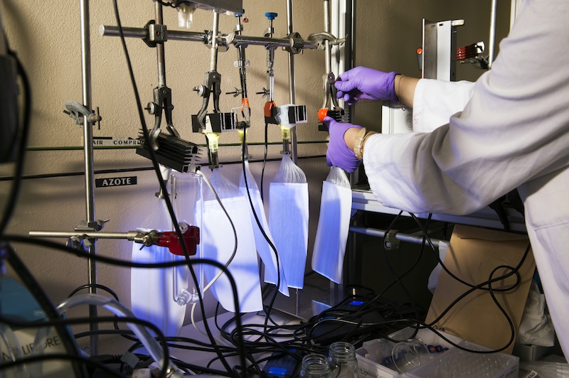 This new technology is based on a chemical process called photocatalysis, discovered in the 1990s, which can neutralize pollutants in the presence of light. u00e2u20acu201d AFP pic