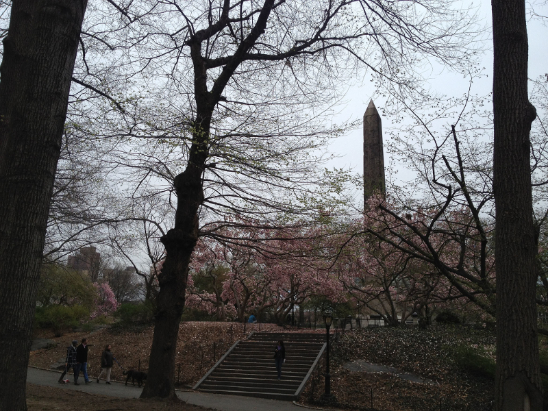 Pat Reilly found Jennifer Levinu00e2u20acu2122s body near Cleopatra's Needle, behind the Metropolitan Museum of Art in New York. u00e2u20acu201d Picture by Flickr/Ralph Hockens