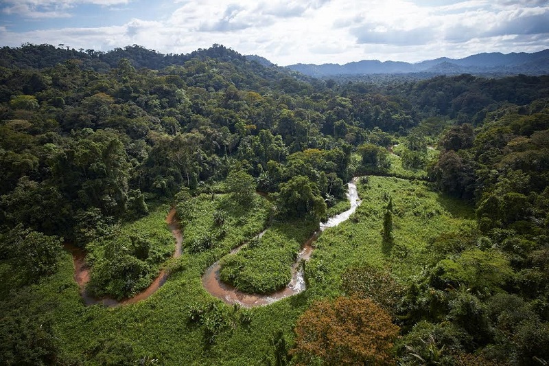 Explorers over the past century have claimed several times to have spotted the White City in the thick jungle inside the Rio Platano Biosphere Reserve on Hondurasu00e2u20acu2122 Caribbean coast. u00e2u20acu201d Picture courtesy of Dave Yoder/National Geographic