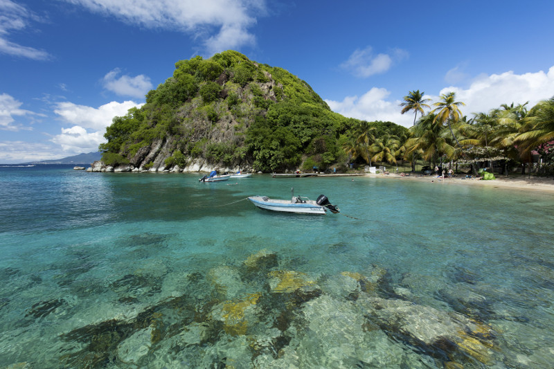 The Pain de Sucre beach on the island of Terre-de-Haut in in Guadeloupe, November 20, 2015. — Picture by John Burcham/The New York Times