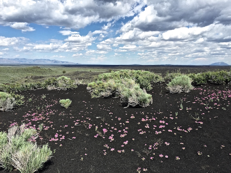 An undated photo of clouds and a landscape in Idaho. u00e2u20acu201d Picture by Stephanie Rosenbloom/The New York Times