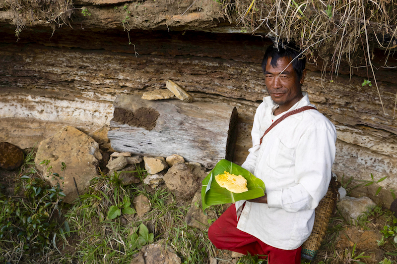 Beekeeper Shahjop Khongiong shows his unusual beehive, made of a hollowed trunk. — Picture by Carla Capalbo/Zester Daily via Reuters