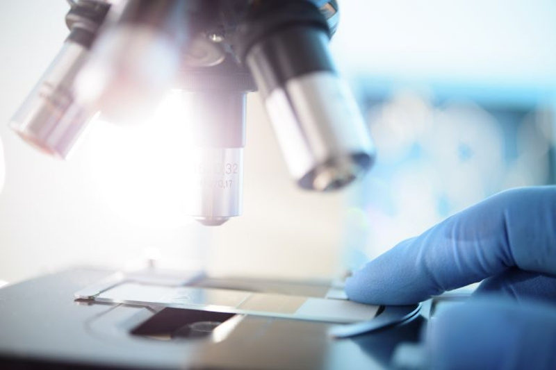 Further studies plan to investigate whether a drug developed with high levels of FGF21 could prolong human life expectancy. u00e2u20acu201d AFP pic